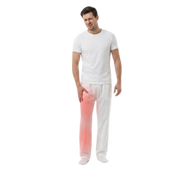 Leg