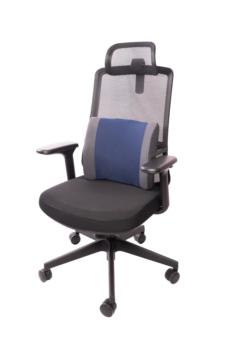 Lumbar Back Rest Small — view 3
